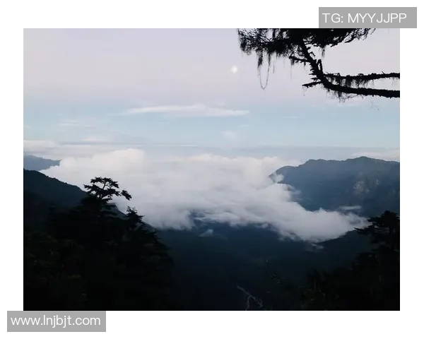 极限运动装备选购指南精选攀岩鞋推荐助你征服高峰