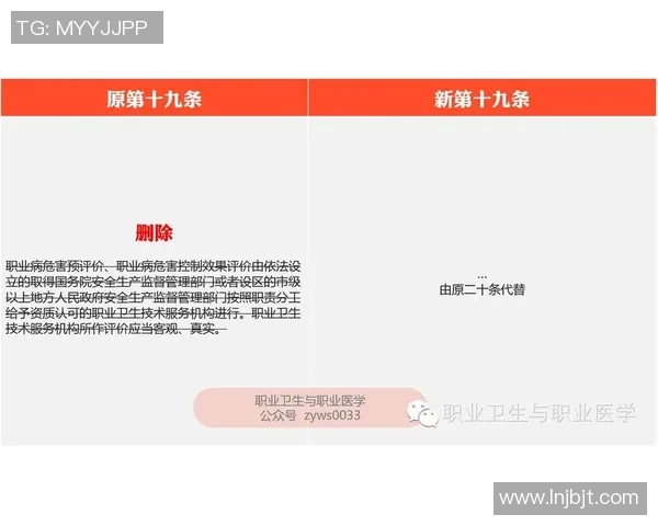 武汉篮球队配合分析：战术执行与团队默契的深度对比探讨